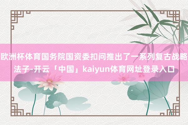 欧洲杯体育国务院国资委扣问推出了一系列复古战略法子-开云「中国」kaiyun体育网址登录入口