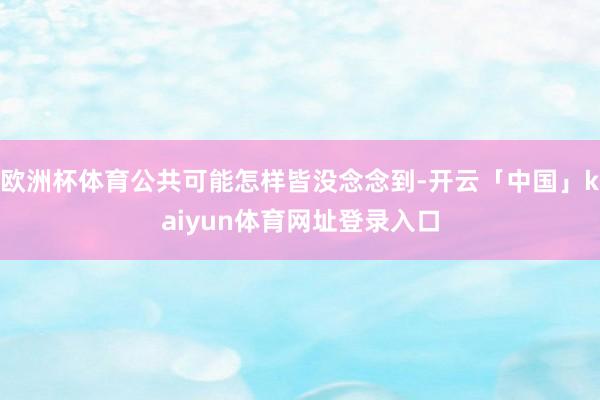 欧洲杯体育公共可能怎样皆没念念到-开云「中国」kaiyun体育网址登录入口