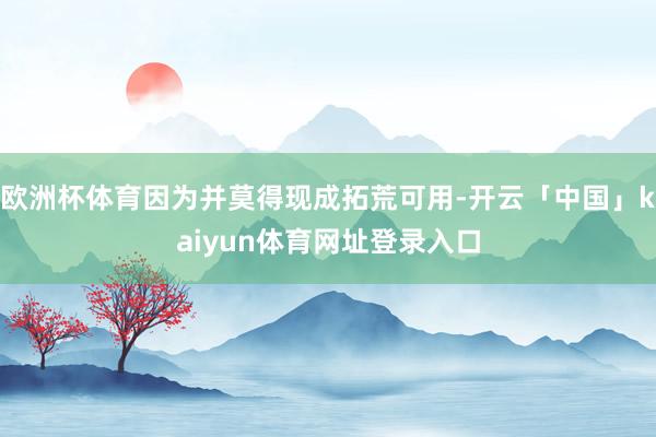 欧洲杯体育因为并莫得现成拓荒可用-开云「中国」kaiyun体育网址登录入口