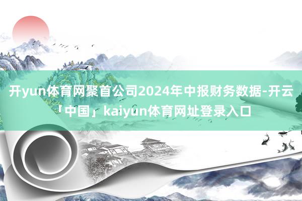 开yun体育网聚首公司2024年中报财务数据-开云「中国」kaiyun体育网址登录入口