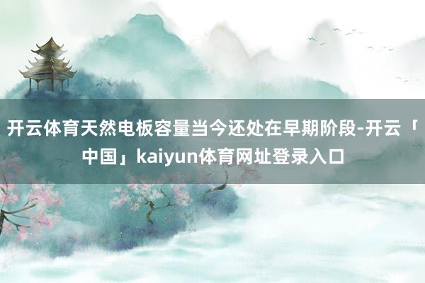 开云体育天然电板容量当今还处在早期阶段-开云「中国」kaiyun体育网址登录入口