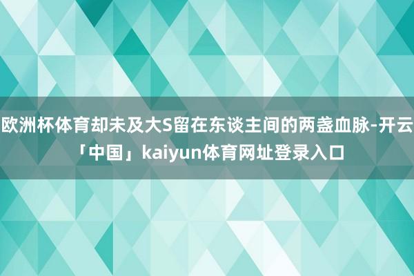 欧洲杯体育却未及大S留在东谈主间的两盏血脉-开云「中国」kaiyun体育网址登录入口