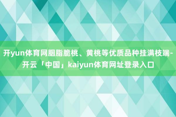 开yun体育网胭脂脆桃、黄桃等优质品种挂满枝端-开云「中国」kaiyun体育网址登录入口